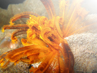 peluqueria_juani001008.jpg