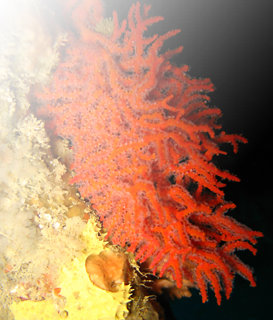 peluqueria_juani001009.jpg
